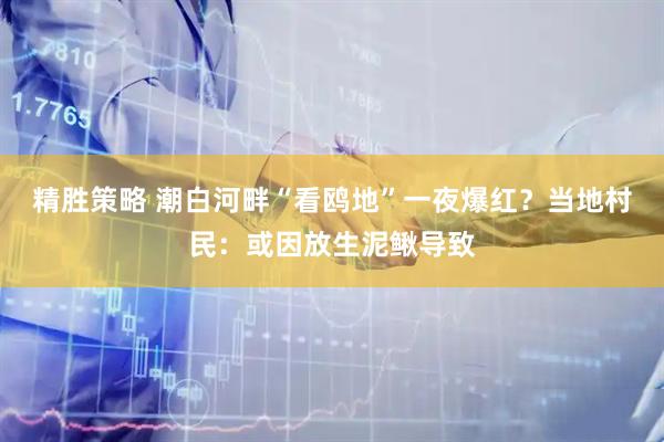精胜策略 潮白河畔“看鸥地”一夜爆红？当地村民：或因放生泥鳅导致